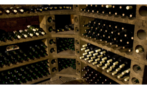 Wine cellar image