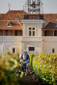 Image shows Chateau Angelus